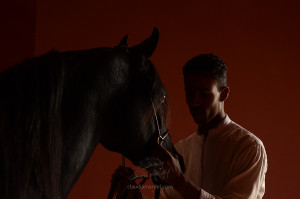 Arabian Horse with his Moroccan handler